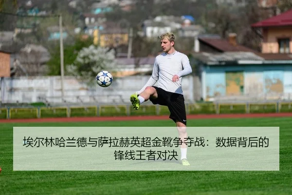ai-er-lin-ha-lan-de-yu-sa-la-he-ying-chao-jin-xue-zheng-duo-zhan-shu-ju-bei-hou-de-feng-xian-wang-zhe-dui-jue-3-398.jpg